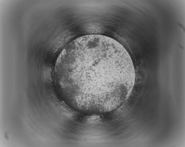 X0000099930162200806131411