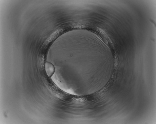 X0000099930163200806131411