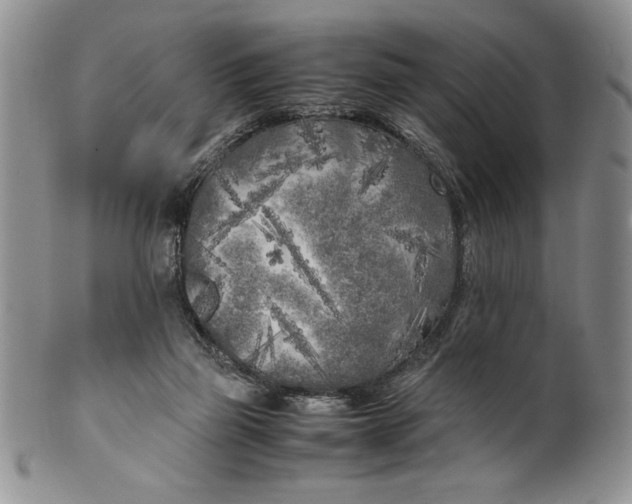 X0000099930165200806131411