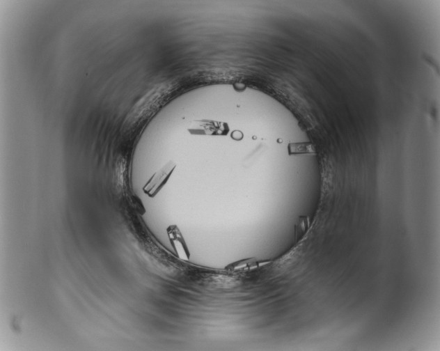 X0000099930166200806131411