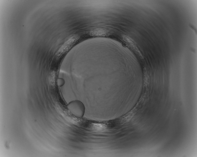 X0000099930167200806131411