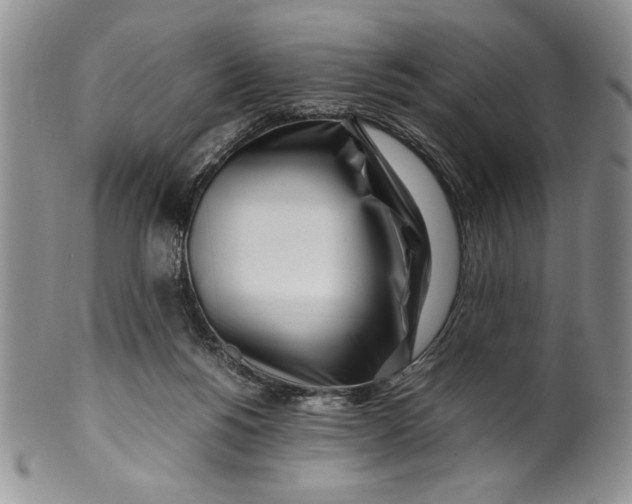 X0000099930168200806131411