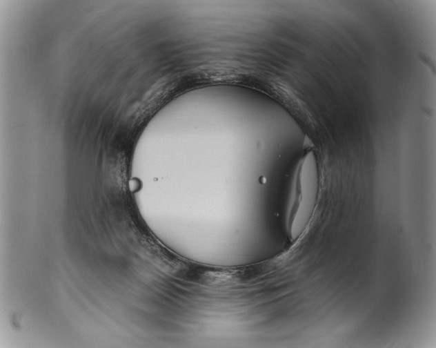 X0000099930170200806131411