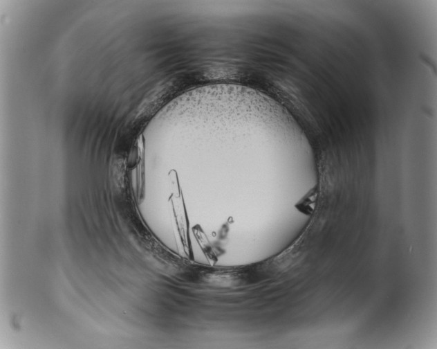 X0000099930171200806131411