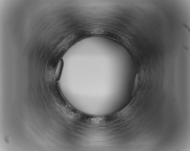 X0000099930172200806131411