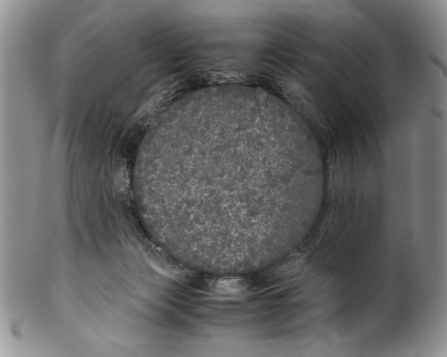 X0000099930173200806131411