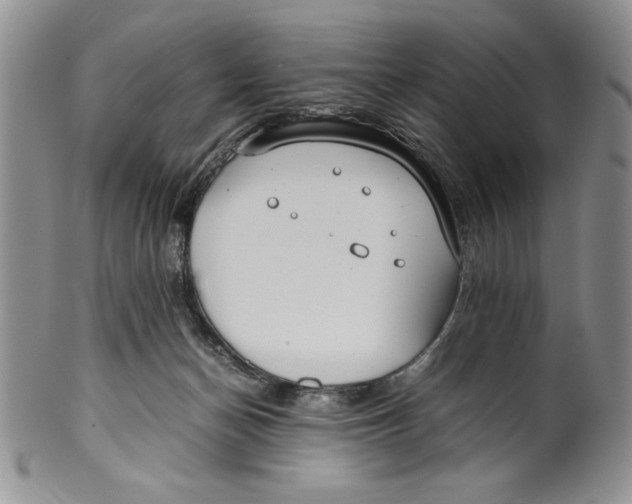 X0000099930174200806131411