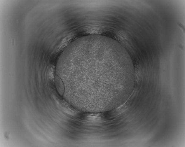 X0000099930175200806131411