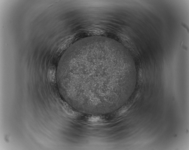 X0000099930177200806131411