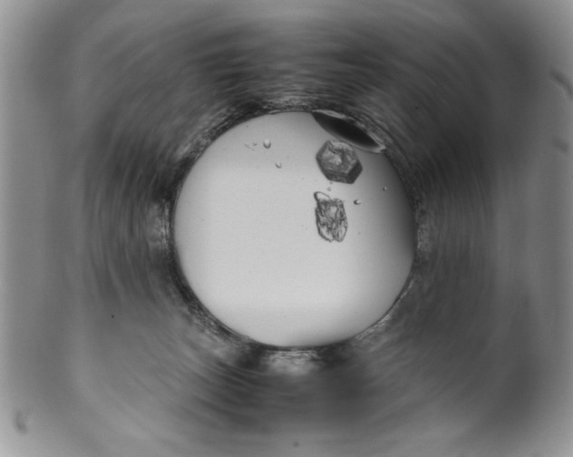 X0000099930179200806131411