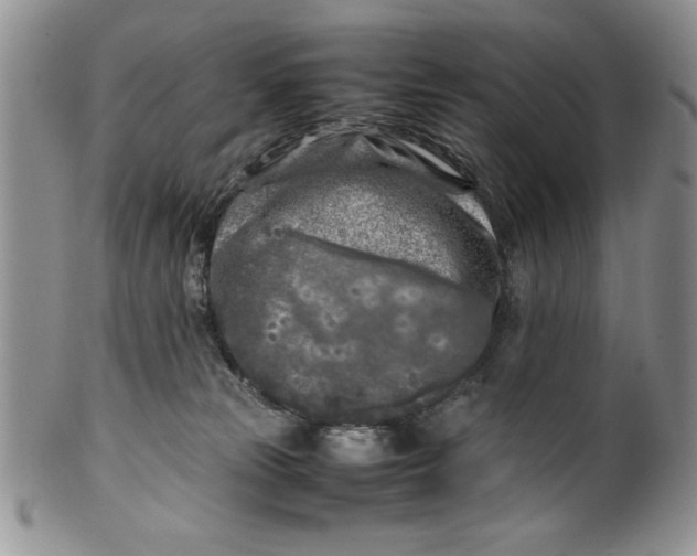 X0000099930181200806131411