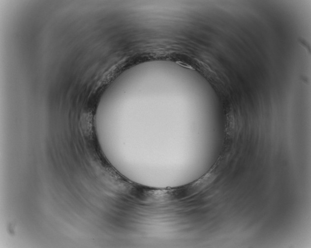 X0000099930184200806131411