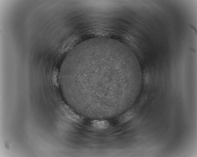 X0000099930185200806131411