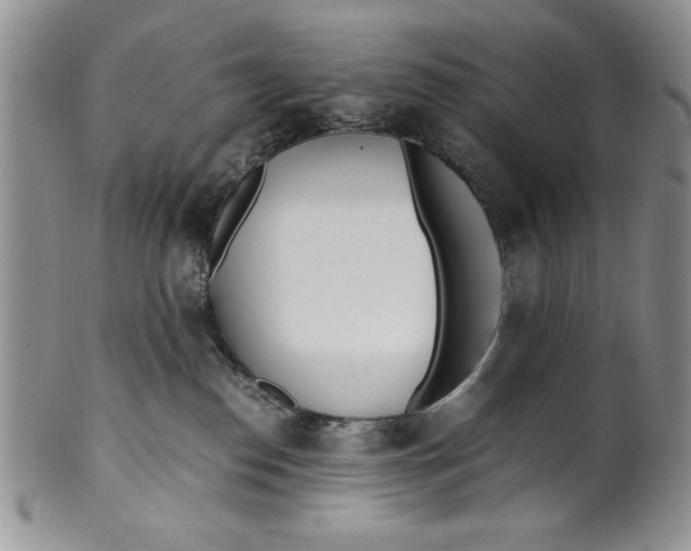 X0000099930186200806131411