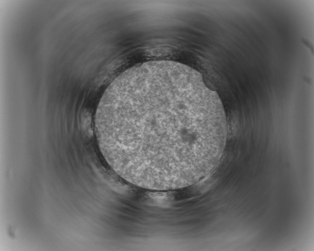 X0000099930187200806131411