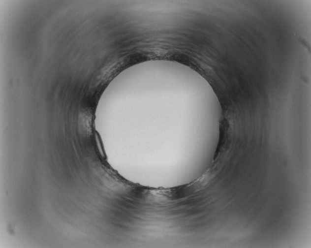 X0000099930188200806131411