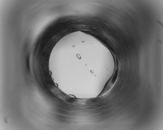 X0000099930190200806131411