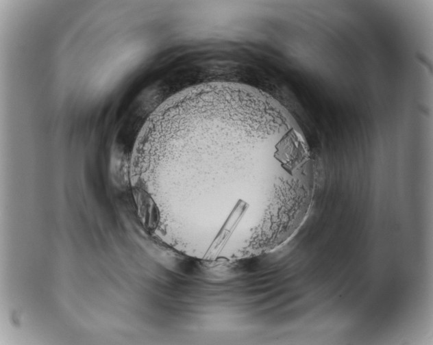 X0000099930191200806131411