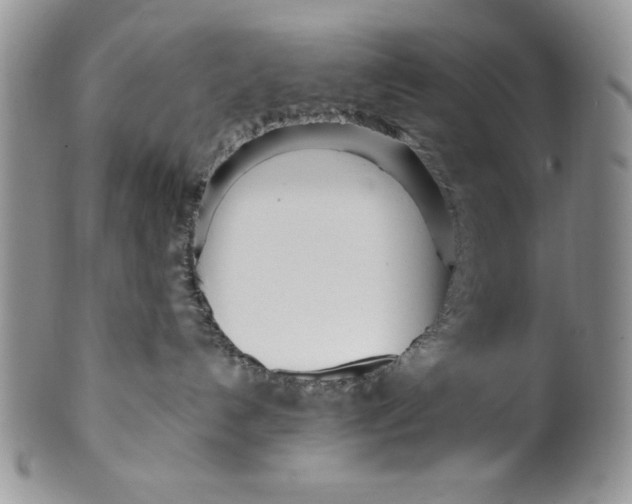 X0000099930192200806131411