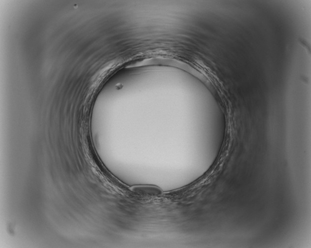 X0000099930193200806131410