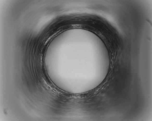 X0000099930194200806131410