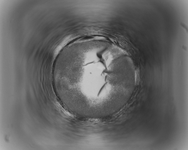 X0000099930195200806131410