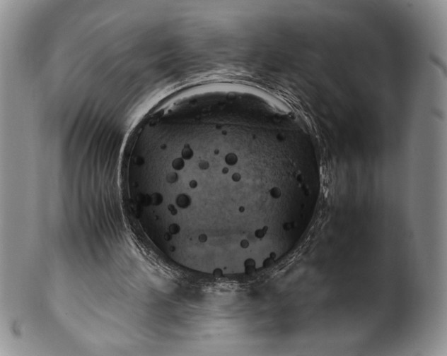 X0000099930196200806131410