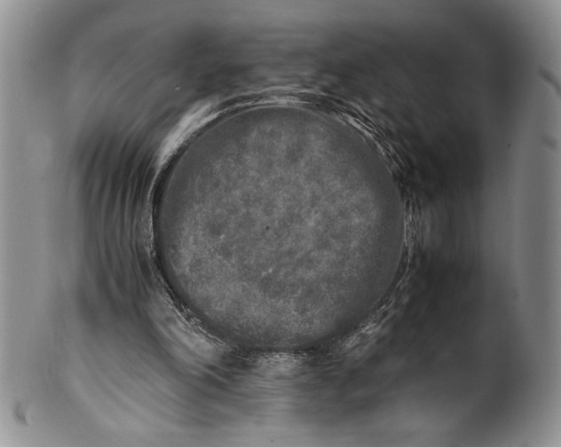 X0000099930198200806131410