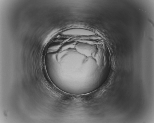 X0000099930199200806131410