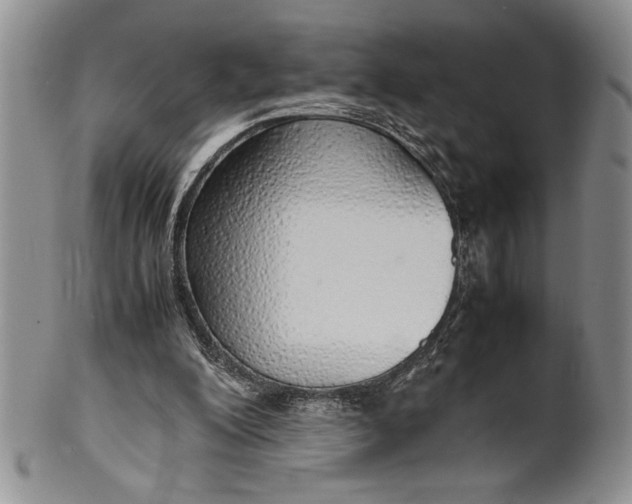 X0000099930200200806131410