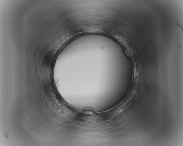 X0000099930201200806131410