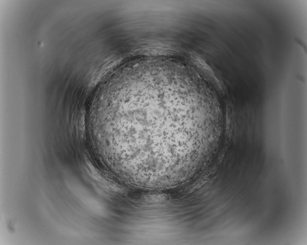 X0000099930202200806131410