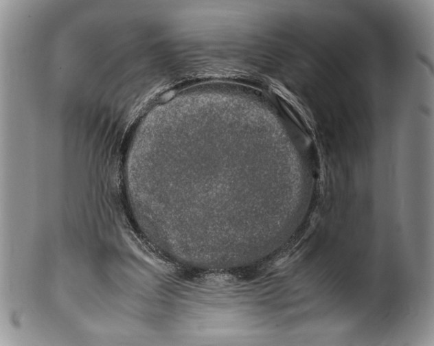 X0000099930203200806131410