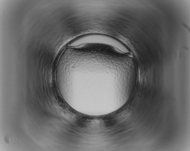 X0000099930204200806131410