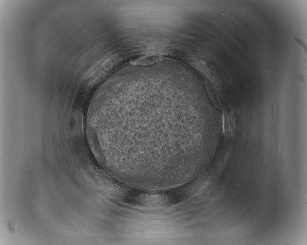 X0000099930205200806131410