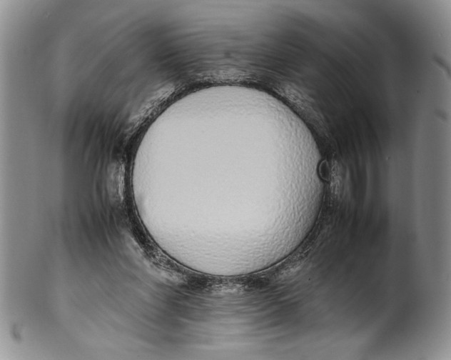 X0000099930206200806131410