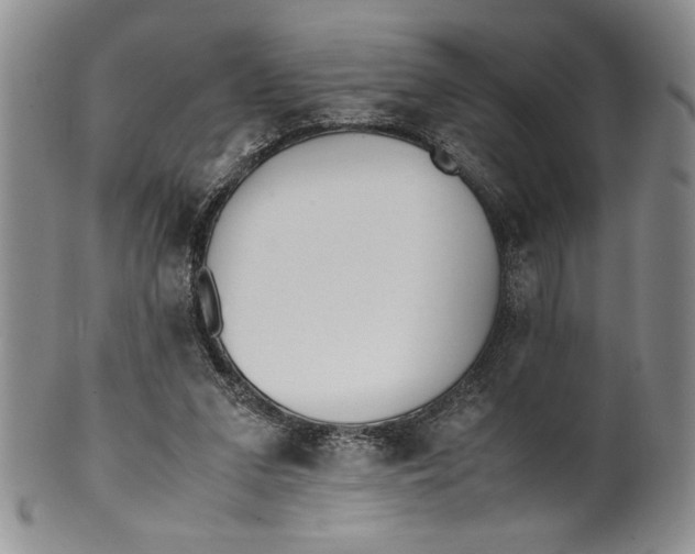 X0000099930207200806131410