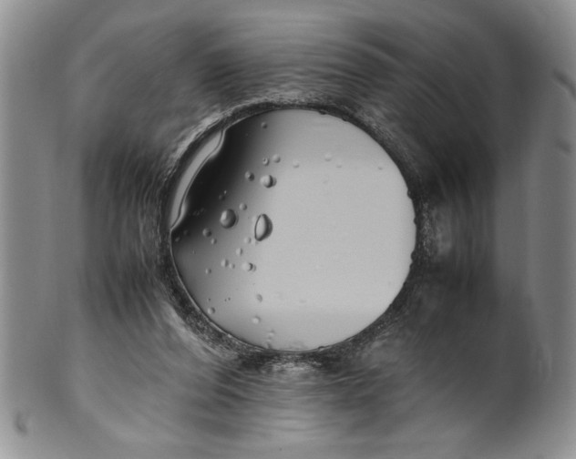 X0000099930208200806131410