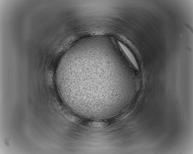 X0000099930209200806131410