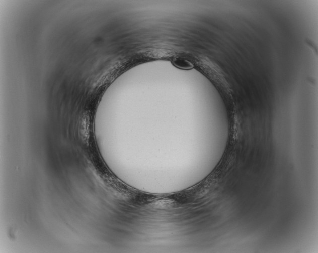 X0000099930210200806131410