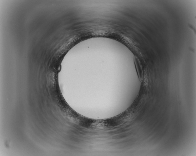 X0000099930211200806131410