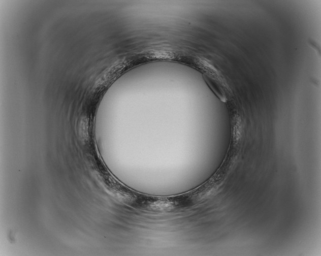 X0000099930213200806131410