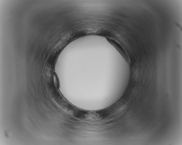 X0000099930215200806131410