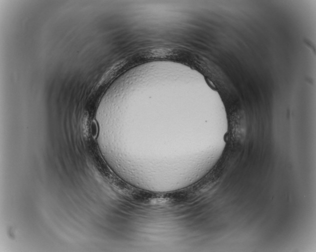 X0000099930216200806131410