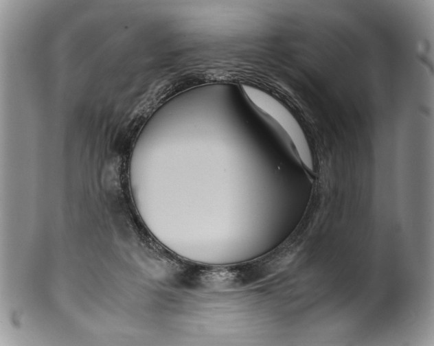 X0000099930217200806131410