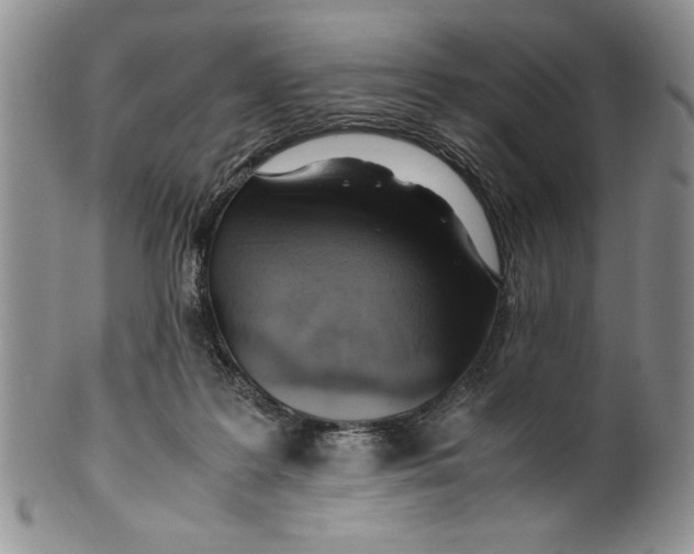 X0000099930219200806131410