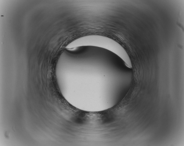 X0000099930221200806131410