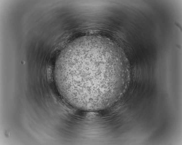 X0000099930222200806131410