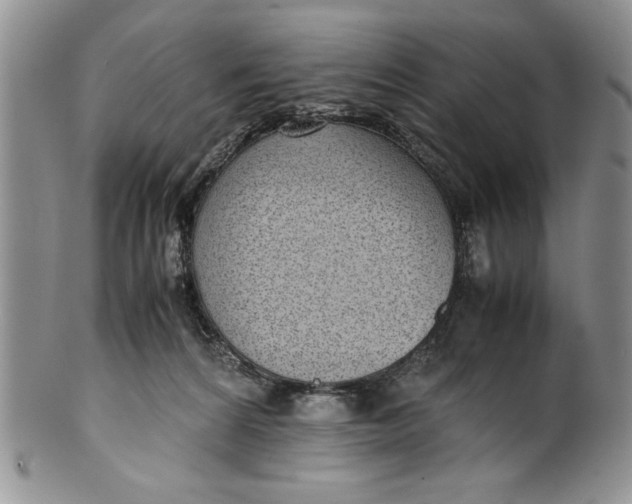 X0000099930224200806131410