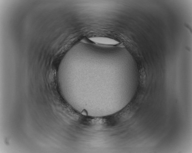 X0000099930225200806131410